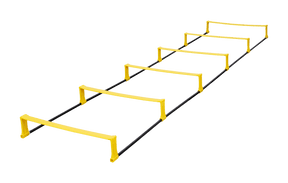 Fusion Ladder - Training Aids - Dawson Sports
