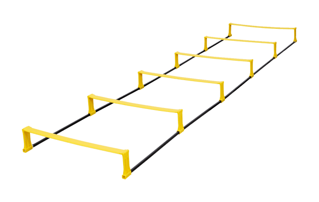 Fusion Ladder - Training Aids - Dawson Sports