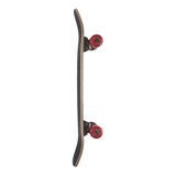 Globe Disaster - Snakes 32 - Skateboard - Dawson Sports