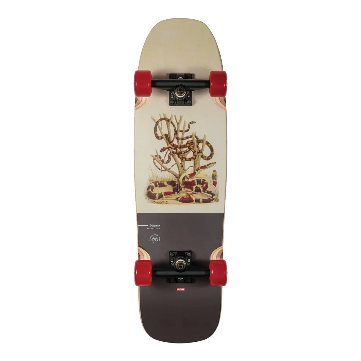 Globe Disaster - Snakes 32 - Skateboard - Dawson Sports
