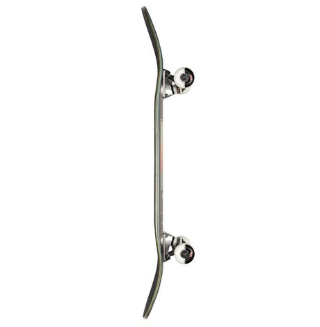 Globe G1 Supercolor Black/Pond 8.125 - Skateboard - Dawson Sports