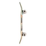 Globe G2 Tarka - Plaza 8.125 - Skateboard - Dawson Sports