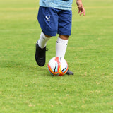 Mini Football (2 sizes available) - Footballs - Dawson Sports
