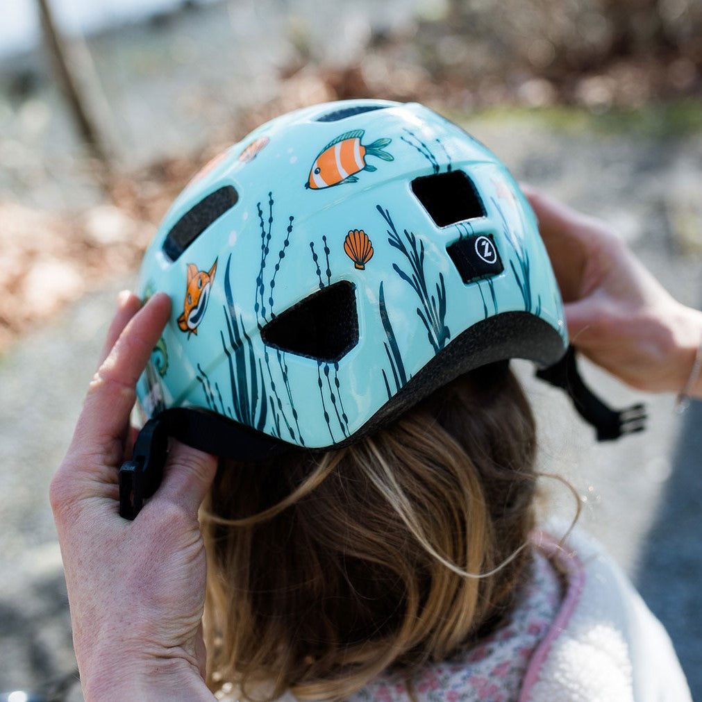 Lazer Pnut KC / Sealife