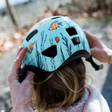 Lazer Pnut KC / Sealife