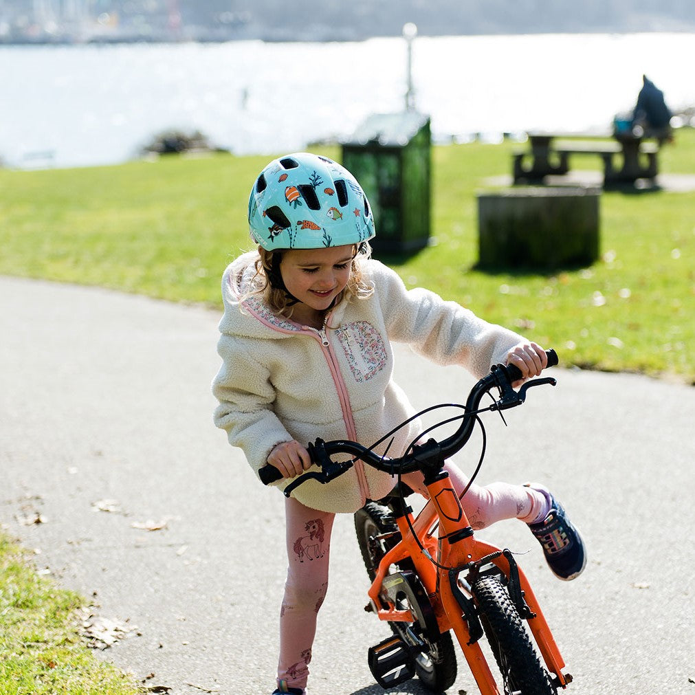 Lazer Pnut KC / Sealife