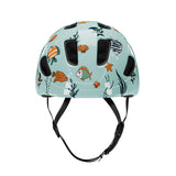 Lazer Pnut KC / Sealife