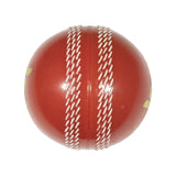 Poly Hard Cricket Ball - Cricket Balls - Dawson Sports