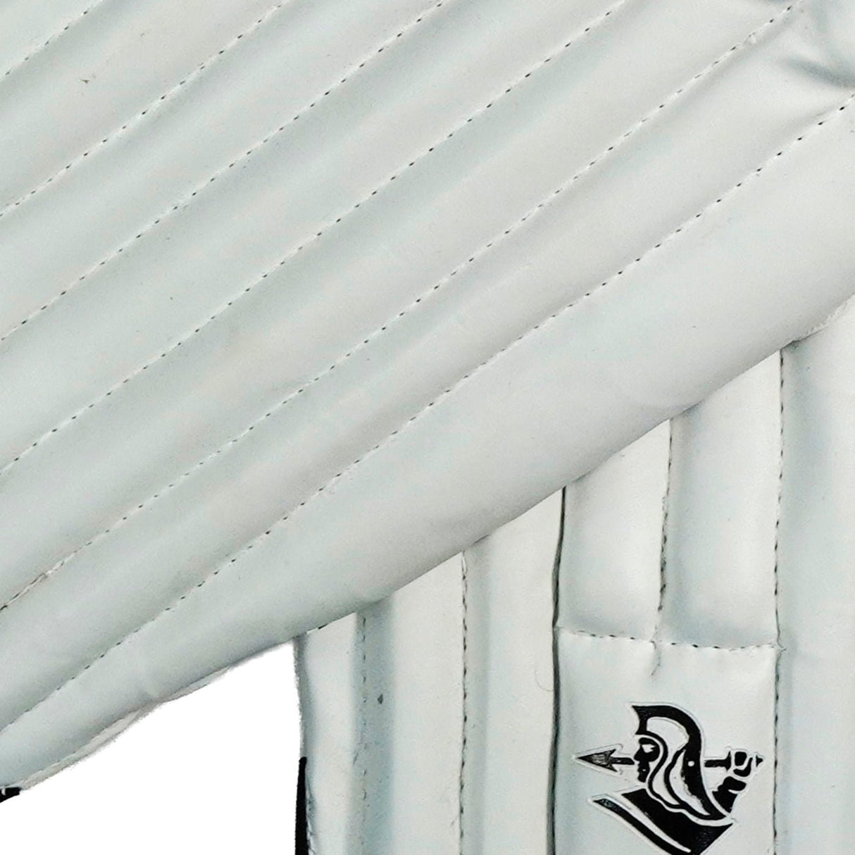 Spartan Eco Batting Pads - Protective Gear - Dawson Sports