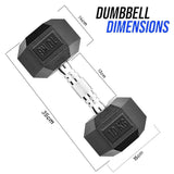 TP HEX Rubber Dumbbells (Pair) - Fitness - Dawson Sports
