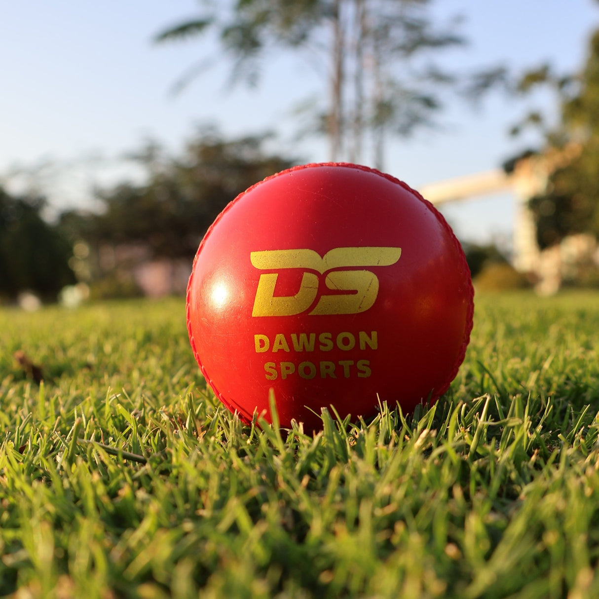 Training Synthetic Cricket Ball - Cricket Balls - Dawson Sports