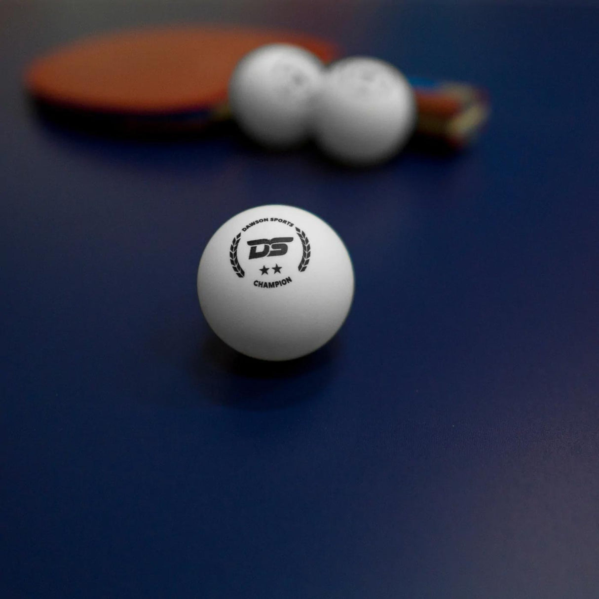 DS Table Tennis Match Player Set Value Bundle
