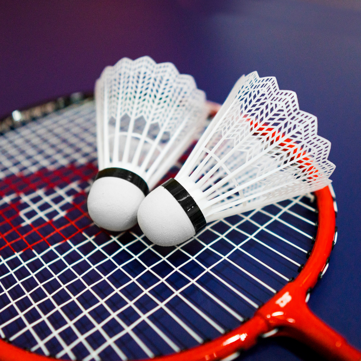 Tournament shuttlecock best sale