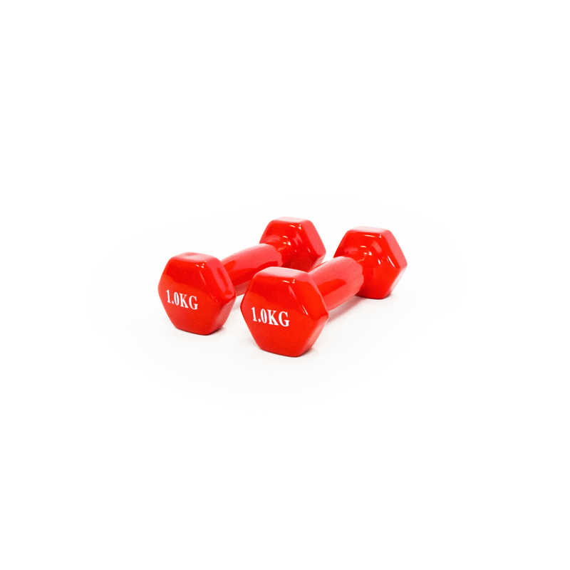 DS Vinyl Dumbbells