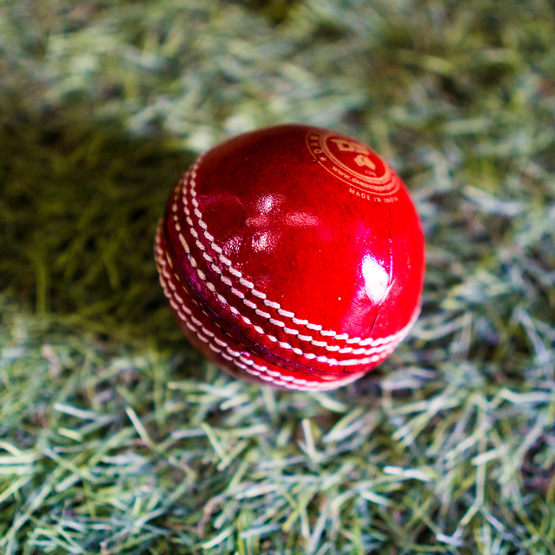 DS Shield Leather Cricket Ball