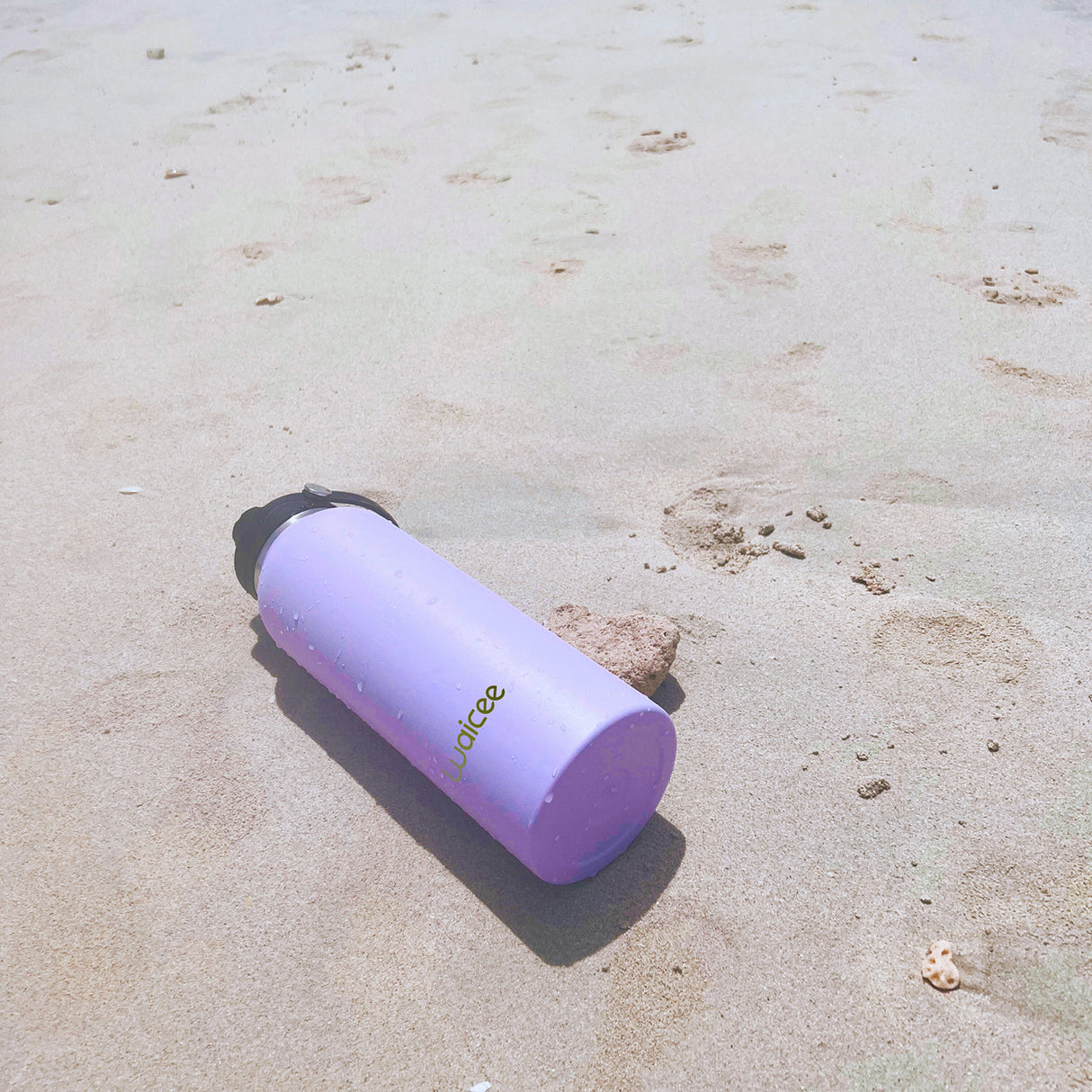 Thistle Purple Reusable Bottle – 21oz / 620ml