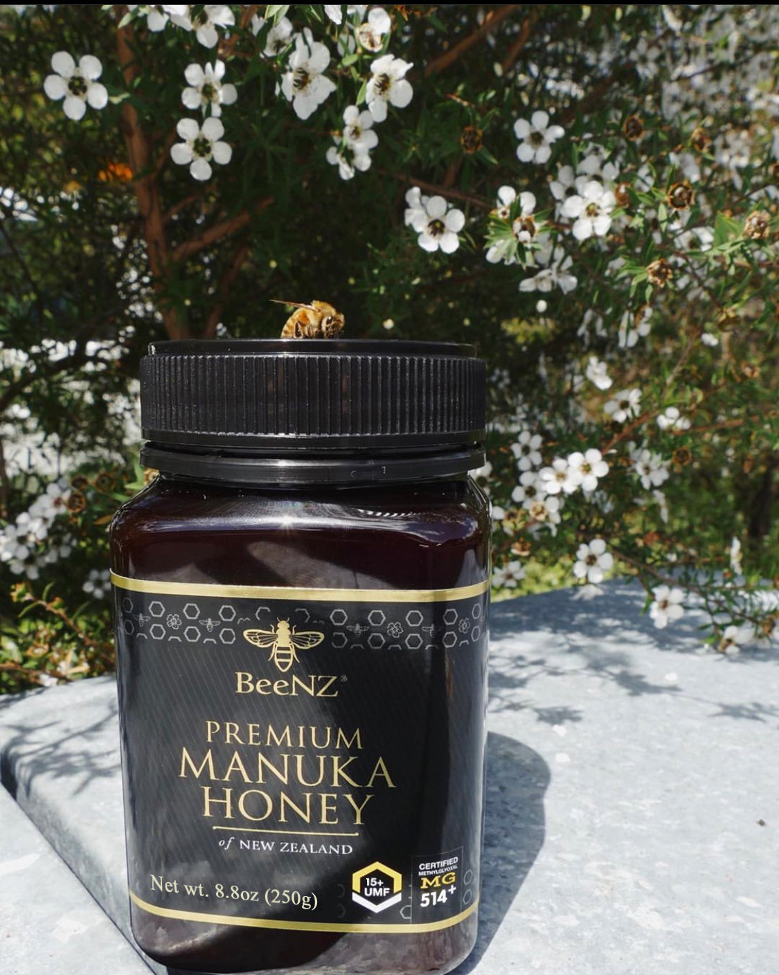 BeeNz Premium Manuka Honey (UMF 15+) - 250g