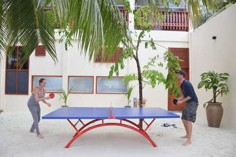 Outdoor Table Tennis Table - Heavy Duty - Table Tennis Table - Dawson Sports